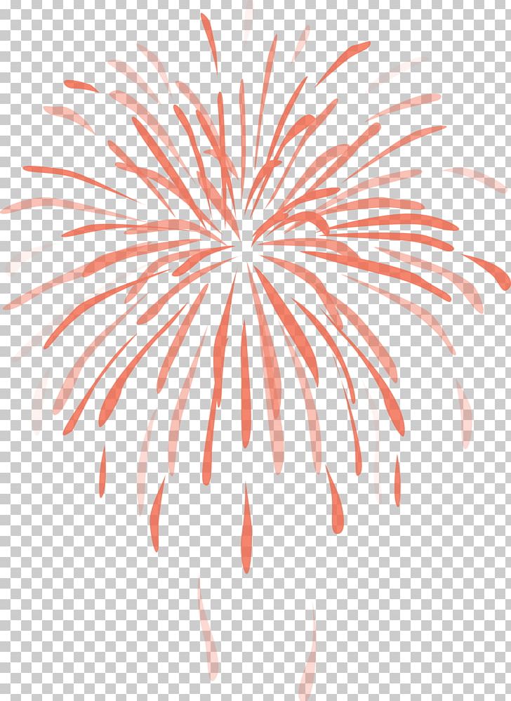 Fireworks Color PNG, Clipart, Circle, Color, Computer Icons, Computer Wallpaper, Event Free PNG Download