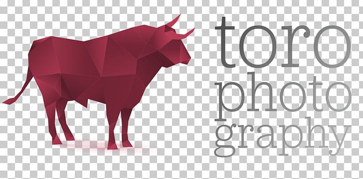 Cattle Ox PNG, Clipart, Animals, Brand, Bull, Cartoon, Cattle Free PNG Download