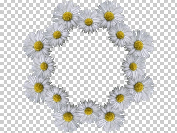 Floral Design Cut Flowers Chrysanthemum PNG, Clipart, Chrysanthemum, Chrysanths, Cut Flowers, Daisy, Floral Design Free PNG Download