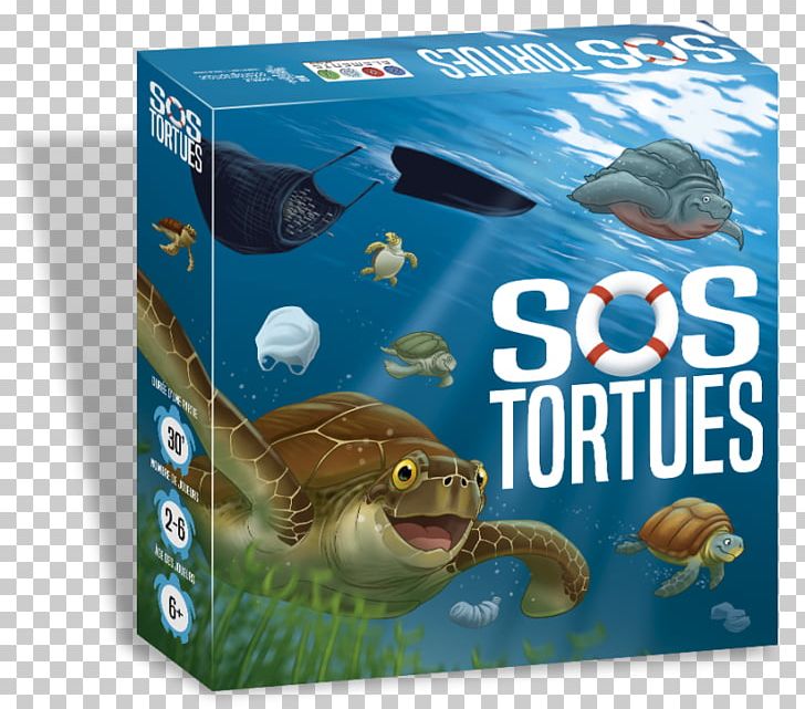 Sea Turtle Oceanographic Museum SOS Tortues Game PNG, Clipart, Animal, Animals, Board Game, Child, Dice Free PNG Download