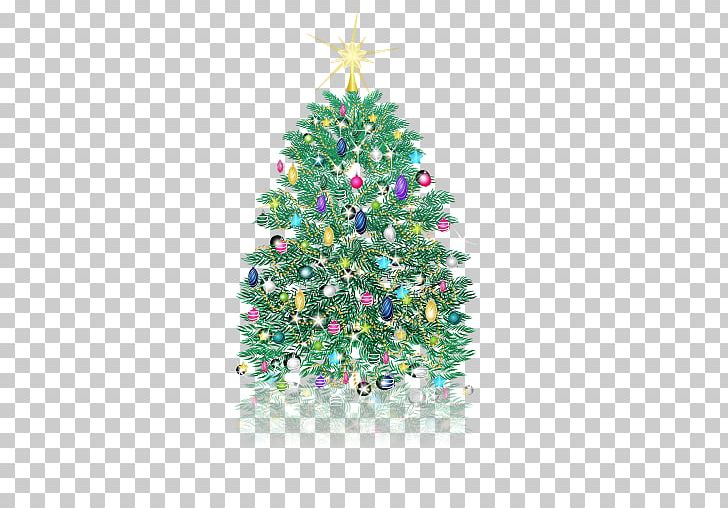 Christmas Tree Pine PNG, Clipart, Chemical Element, Christmas, Christmas Decoration, Christmas Frame, Christmas Lights Free PNG Download