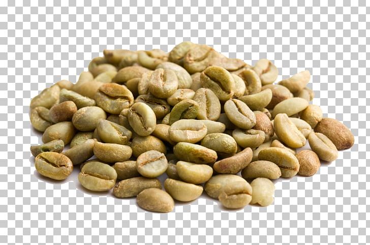 Coffee Bean Green Coffee Extract Decaffeination Roasting PNG, Clipart, Arabica Coffee, Bean, Chlorogenic Acid, Coffee, Coffee Bean Free PNG Download