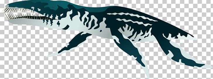 Eustreptospondylus Liopleurodon Therizinosaurus Velociraptor Cetiosaurus PNG, Clipart, Animal Figure, Anomalocaris, Beak, Carnivore, Cetiosaurus Free PNG Download