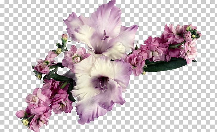 Gladiolus Flower Bouquet PNG, Clipart, 720p, 1080p, Cut Flowers, Desktop Wallpaper, Display Resolution Free PNG Download
