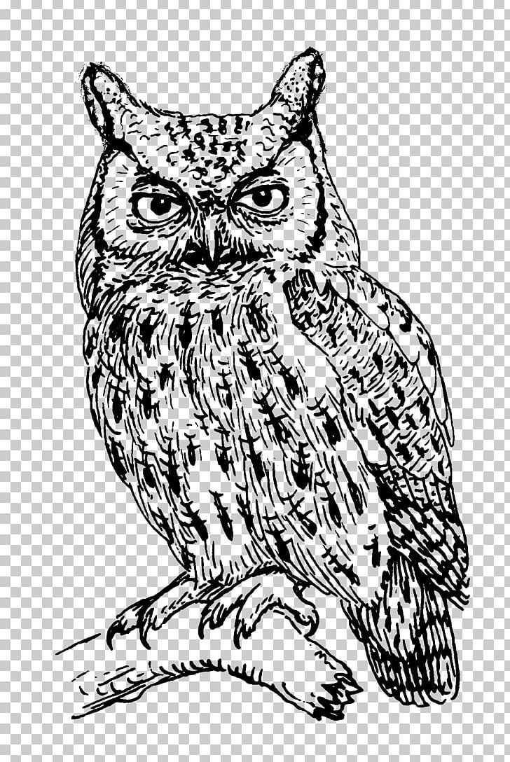 T-shirt Owl Clothing Crew Neck PNG, Clipart, American Apparel, Art, Artwork, Beak, Bird Free PNG Download