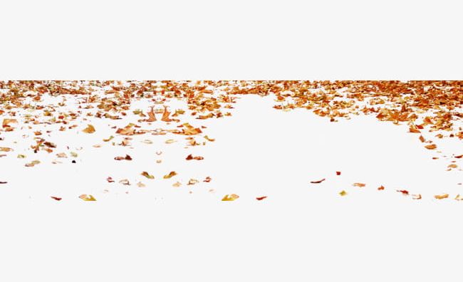 Download Png Leaves Fall Png Gif Base