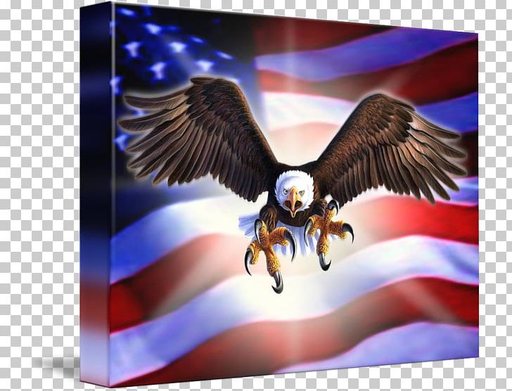 Eagle Gallery Wrap Canvas Art PNG, Clipart, American Eagle Outfitters, American Impressionism, Animals, Art, Beak Free PNG Download