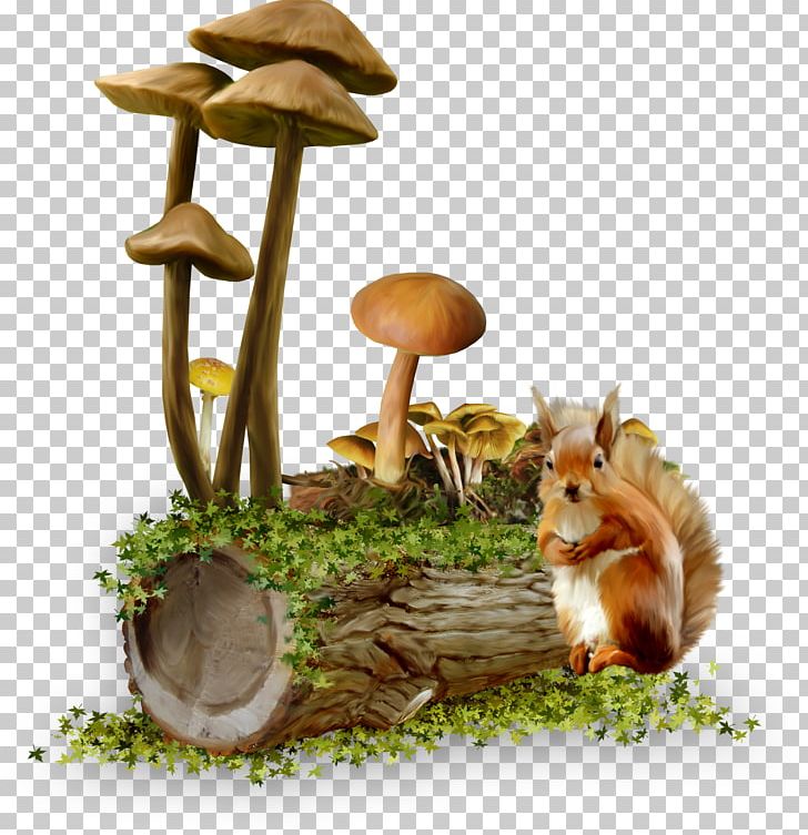 Mushroom PNG, Clipart, Clip Art, Digital Image, Download, Encapsulated Postscript, Fauna Free PNG Download
