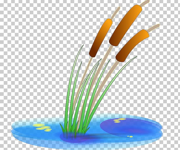 Scalable Graphics PNG, Clipart, Aquatic Plants, Cartoon Plant, Computer Icons, Download, Drawing Free PNG Download