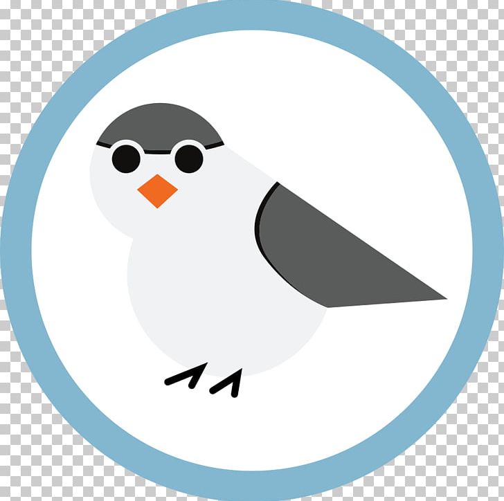 Bird GitHub Computer Software Robot Beak PNG, Clipart, Animal, Animals, Application Programming Interface, Barn Owl, Beak Free PNG Download