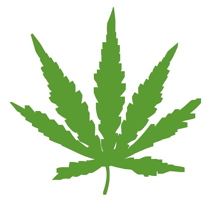 Cannabis Ruderalis Cannabis Sativa Medical Cannabis Smoking PNG, Clipart, Cannabis, Cannabis Cultivation, Cannabis Ruderalis, Cannabis Sativa, Cannabis Smoking Free PNG Download