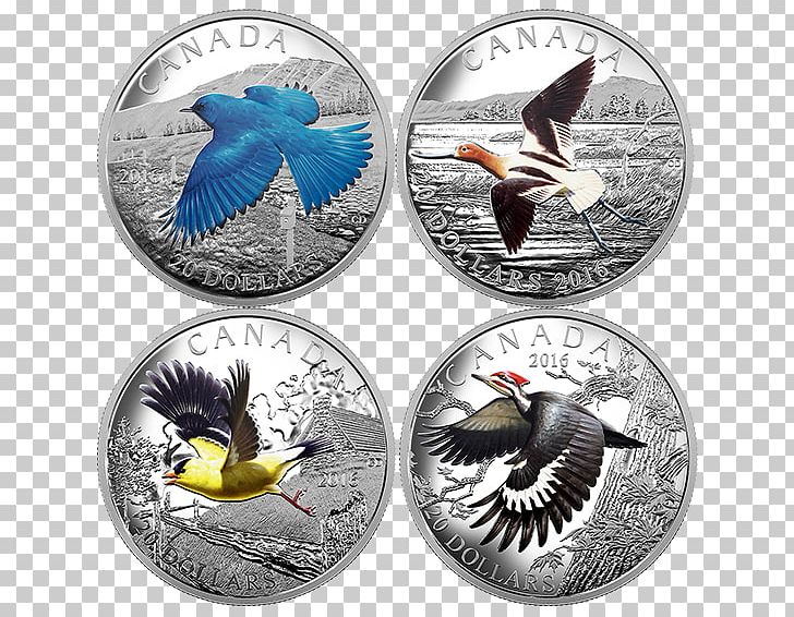 Coin Bird Migration Canada Silver PNG, Clipart, American Avocet, Animal Migration, Avocet, Beak, Bird Free PNG Download