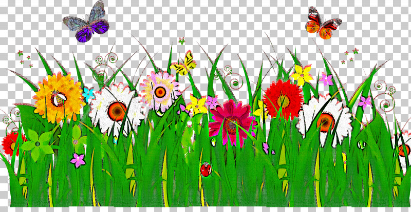 Meadow Wildflower Plant Flower Grass PNG, Clipart, Flower, Grass, Grass Family, Meadow, Petal Free PNG Download