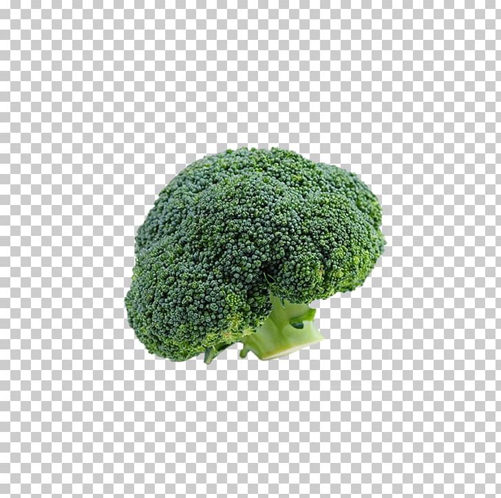 Broccoli Vegetable Cauliflower PNG, Clipart, Brassica Oleracea, Broccoli, Broccoli 0 0 3, Broccoli Art, Broccoli Dog Free PNG Download