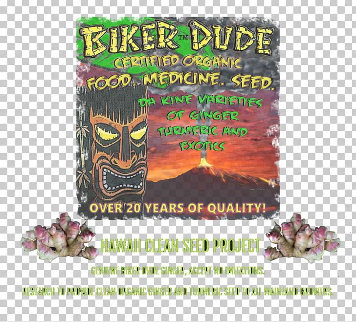 Ginger Turmeric Tuber Puna Organics PNG, Clipart, Advertising, Ginger, Harvest, Hawaii, Real Deal Free PNG Download