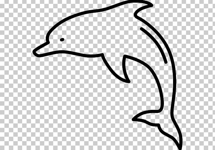 Tucuxi Aquatic Animal Sea Dolphin PNG, Clipart, Animal, Aquatic Animal, Aquatic Mammal, Artwork, Beak Free PNG Download