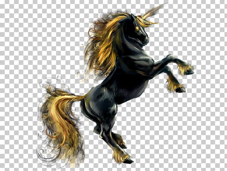 Mustang Stallion Rearing Pony PNG, Clipart, Desktop Wallpaper, Erik M Conway, Fairy, Fictional Character, Horse Free PNG Download