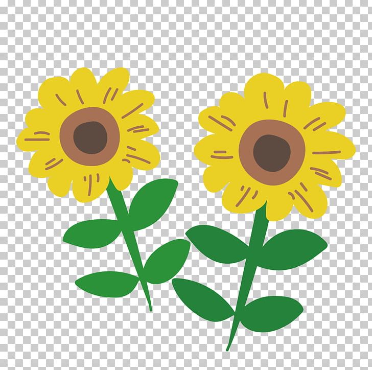 Common Sunflower Floral Design PNG, Clipart, Common Sunflower, Daisy, Daisy Family, Dentist, Floral Design Free PNG Download