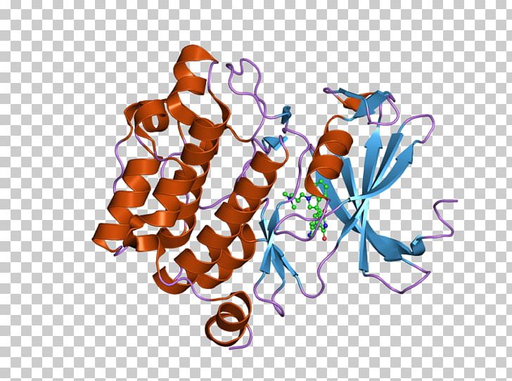 Epidermal Growth Factor Receptor PIM1 PNG, Clipart, Art, Bil, Cell Surface Receptor, Cetuximab, Ebi Free PNG Download