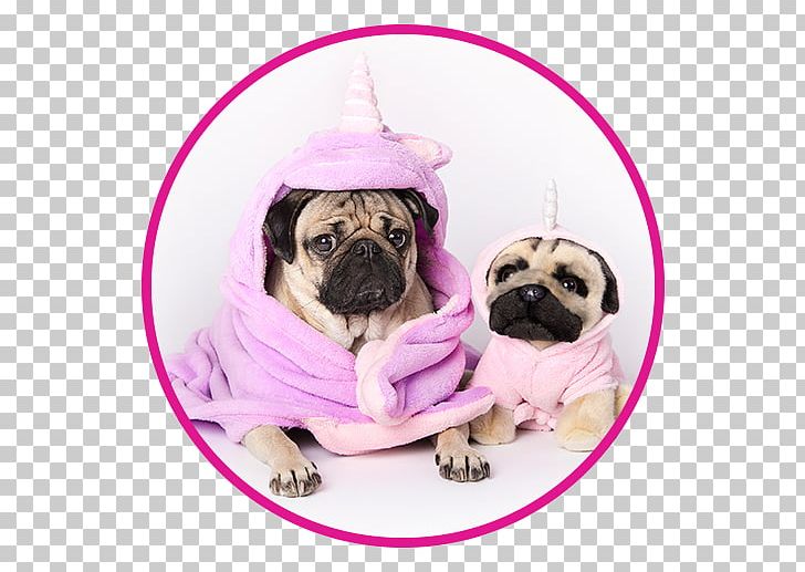 Doug The Pug Puppy Dog Breed Companion Dog PNG, Clipart,  Free PNG Download