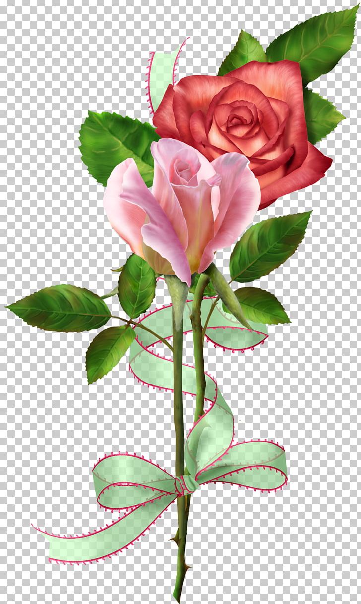 Garden Roses Cabbage Rose Floribunda Cut Flowers Floral Design PNG, Clipart, Bud, Cabbage Rose, China Rose, Cut Flowers, Floral Design Free PNG Download