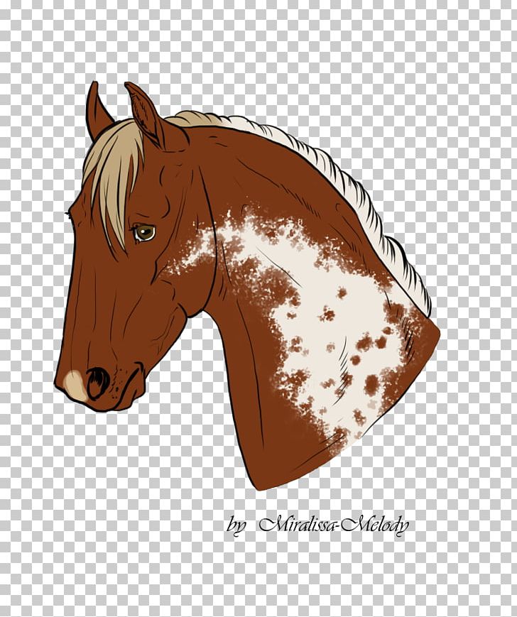 Mane Mustang Halter Stallion Rein PNG, Clipart, Bridle, Halter, Head, Horse, Horse Like Mammal Free PNG Download