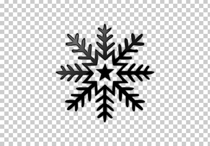 Snowflake Twinkle PNG, Clipart, Black And White, Computer Icons, Grey, Ice, Ice Crystals Free PNG Download
