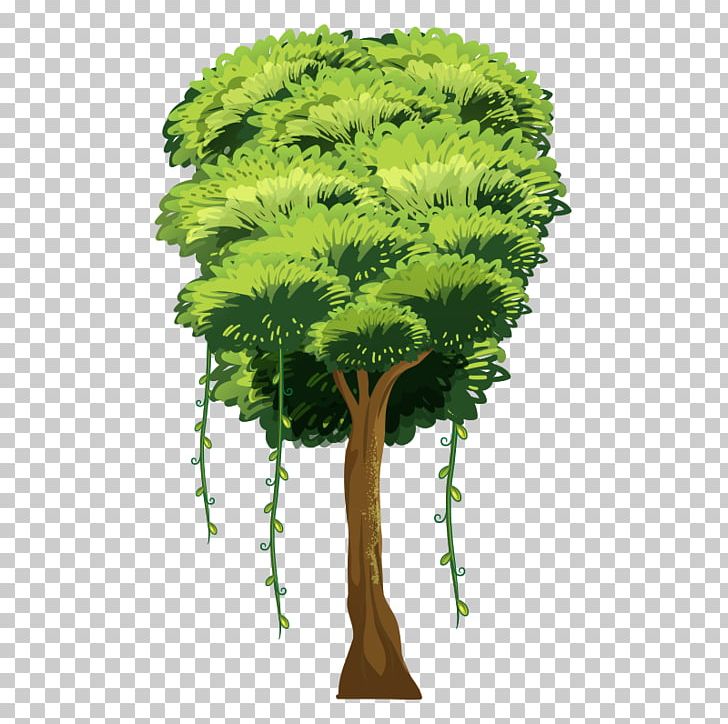 Tree Illustration PNG, Clipart, Bonsai, Branch, Christmas Tree, Drawing, Evergreen Free PNG Download