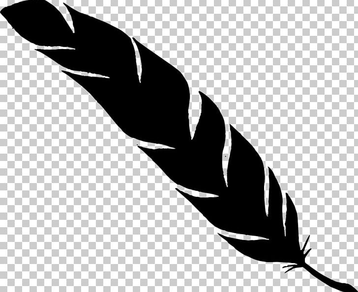 Feather PNG, Clipart, Animals, Arm, Beak, Bird, Black Free PNG Download