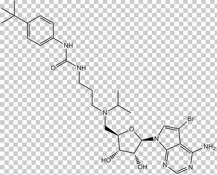 Histone Methyltransferase DOT1L Chromatin PNG, Clipart, Angle, Arginine, Auto Part, Black And White, Chromatin Free PNG Download