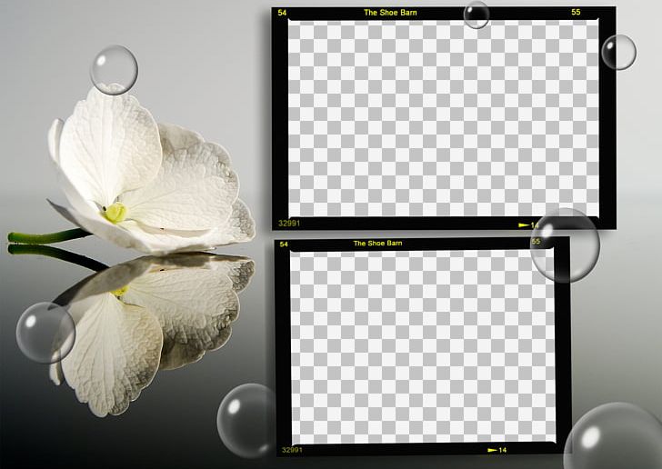 Flower Desktop Nature Mirror PNG, Clipart, 720p, 1080p, Aspect Ratio, Color, Desktop Wallpaper Free PNG Download
