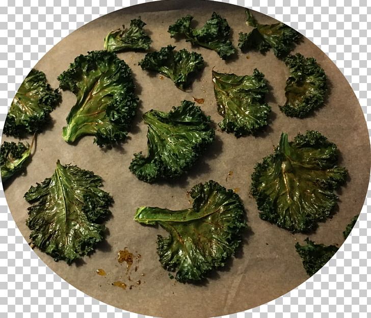 Kale Broccoli PNG, Clipart, Broccoli, Food, Kale, Leaf Vegetable, Vegetable Free PNG Download