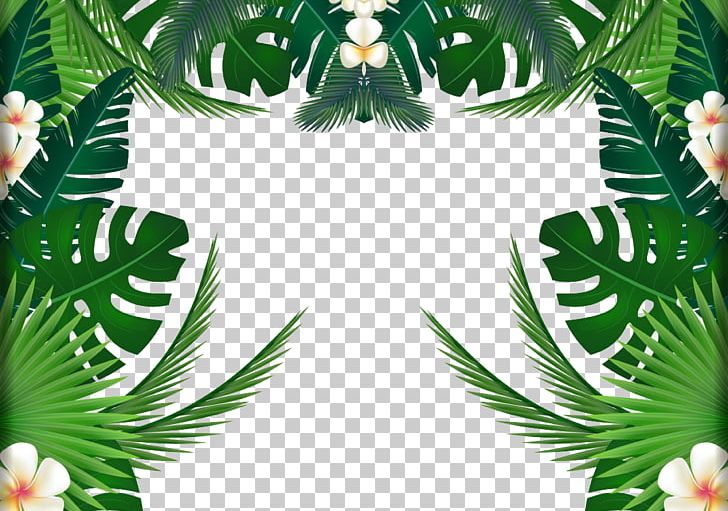 Plant PNG, Clipart, Border, Border Frame, Branch, Certificate Border, Christmas Decoration Free PNG Download