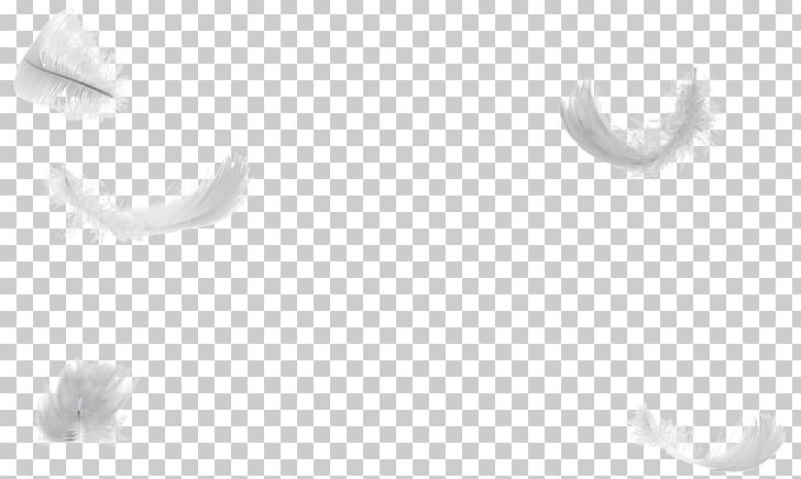 White Feather Wing Down Feather Tail PNG, Clipart, Animals, Black, Black And White, Closeup, Computer Wallpaper Free PNG Download