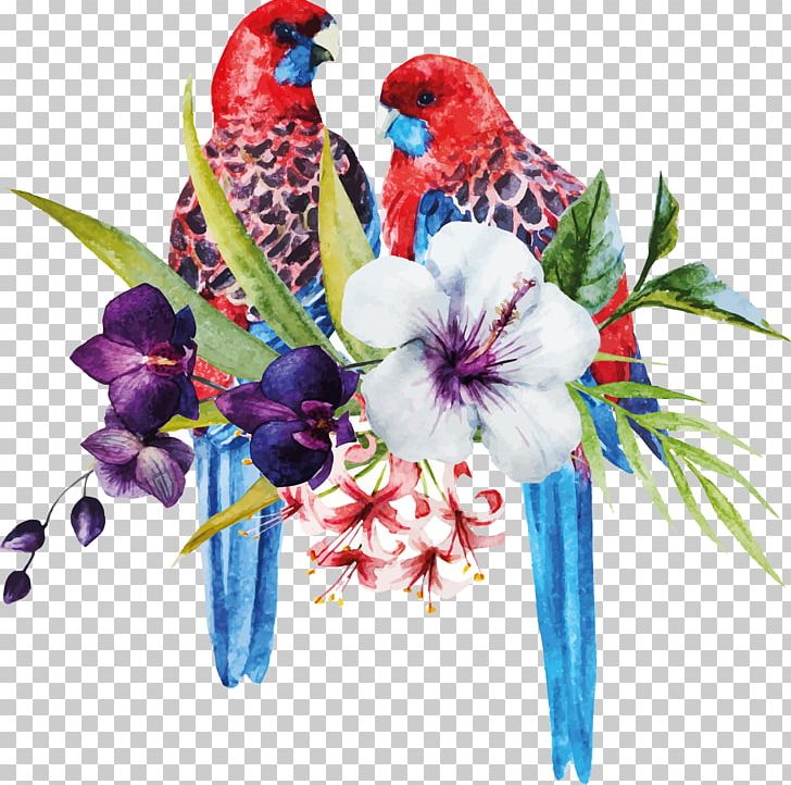Amazon Parrot Bird PNG, Clipart, Amazon Parrot, Animals, Art, Beak, Bird Free PNG Download