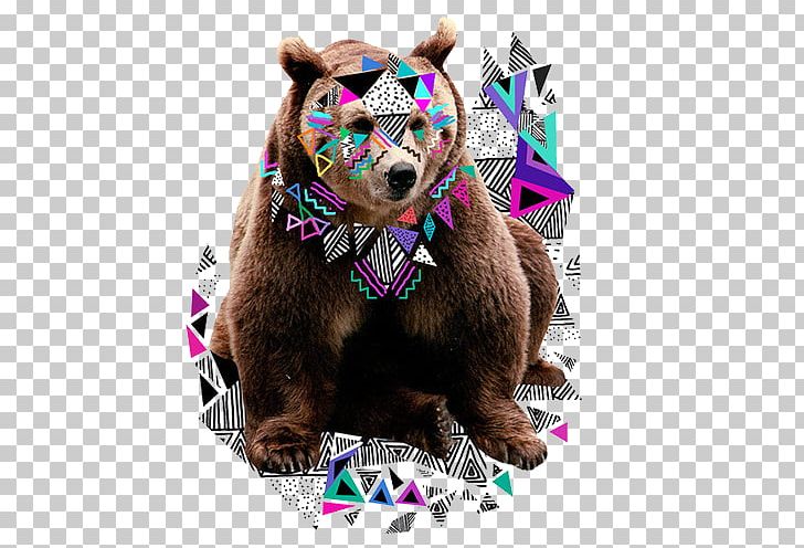 Art Graphic Design Illustration PNG, Clipart, Animals, Art, Artist, Bear, Bears Free PNG Download