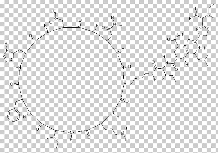 Bacitracin Antibiotics Hay Bacillus Pharmaceutical Drug PNG, Clipart, Angle, Area, Bacillus, Bacitracin, Bacitracin Zinc Free PNG Download