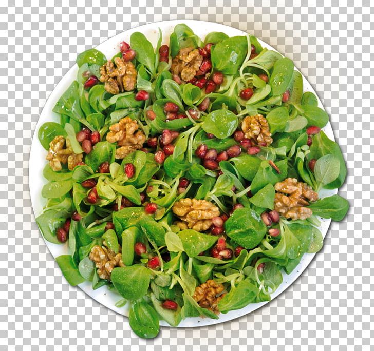 Spinach Salad Chicken Salad Thai Cuisine Stuffing Cobb Salad PNG, Clipart, Chicken Meat, Chicken Salad, Chinese Chicken Salad, Cobb Salad, Dish Free PNG Download