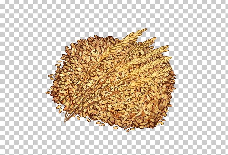 Cereal Spelt Bran Seed Oat PNG, Clipart, Avena, Bran, Cereal, Cereal Germ, Commodity Free PNG Download
