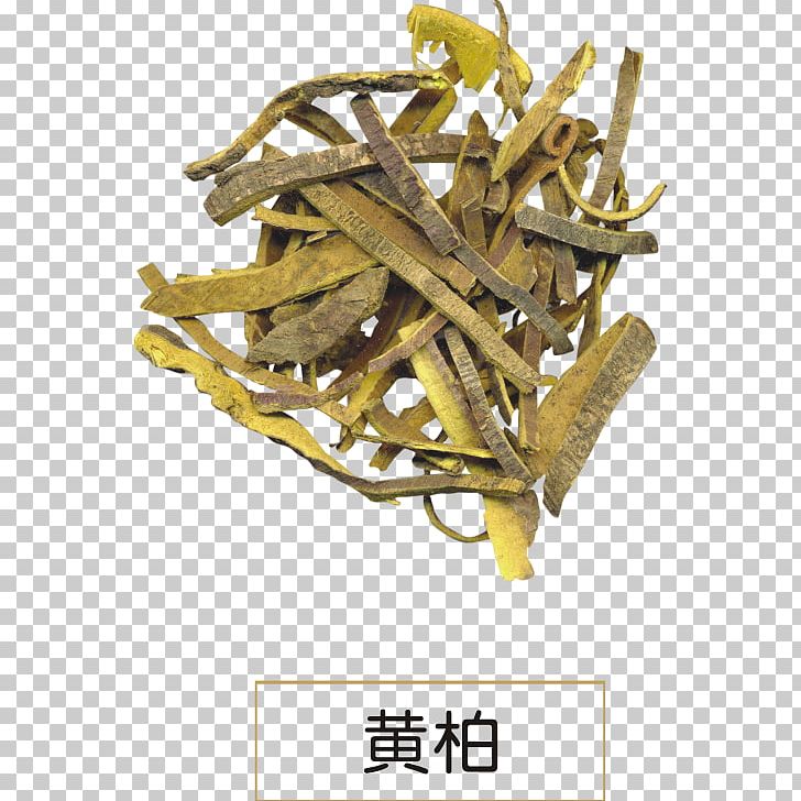 Phellodendron Amurense Phellodendron Chinense Dietary Supplement Huáng Bǎi Extract PNG, Clipart, Amp, Art, Art Of Healing, Bark, Berberine Free PNG Download