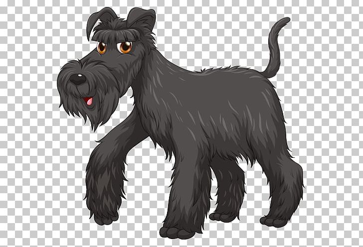 Puppy Yorkshire Terrier Kerry Blue Terrier Dog Type PNG, Clipart, Animals, Breed, Carnivoran, Dog Breed, Dog Breed Group Free PNG Download