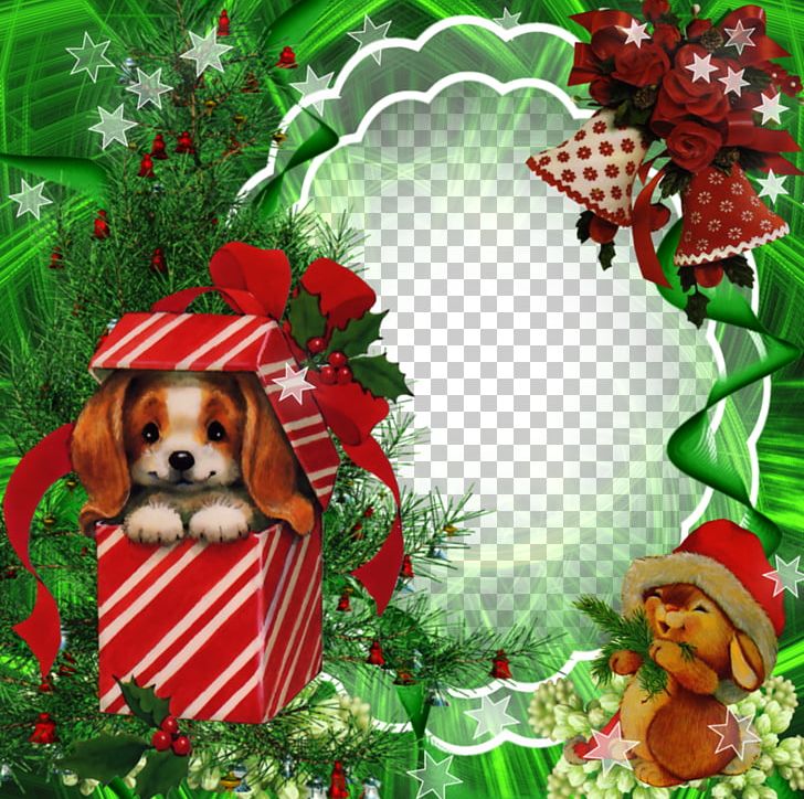 Santa Claus Christmas Frame Holiday Nativity Of Jesus PNG, Clipart, Bell, Border, Border Frame, Box, Carnivoran Free PNG Download