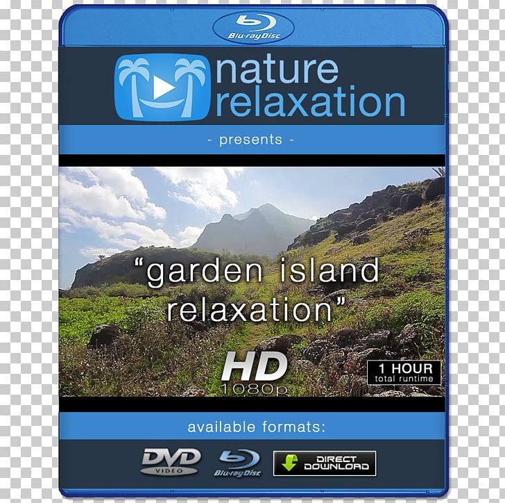 4K Resolution Display Resolution High-definition Television 1080p High-definition Video PNG, Clipart, 4k Resolution, 1080p, Computer Monitors, Display Device, Display Resolution Free PNG Download