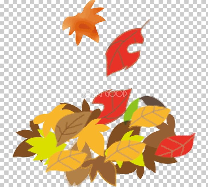 Illustrator いらすとや Autumn PNG, Clipart, Autumn, Autumn Leaf Color, Deciduous, Flower, Flowering Plant Free PNG Download