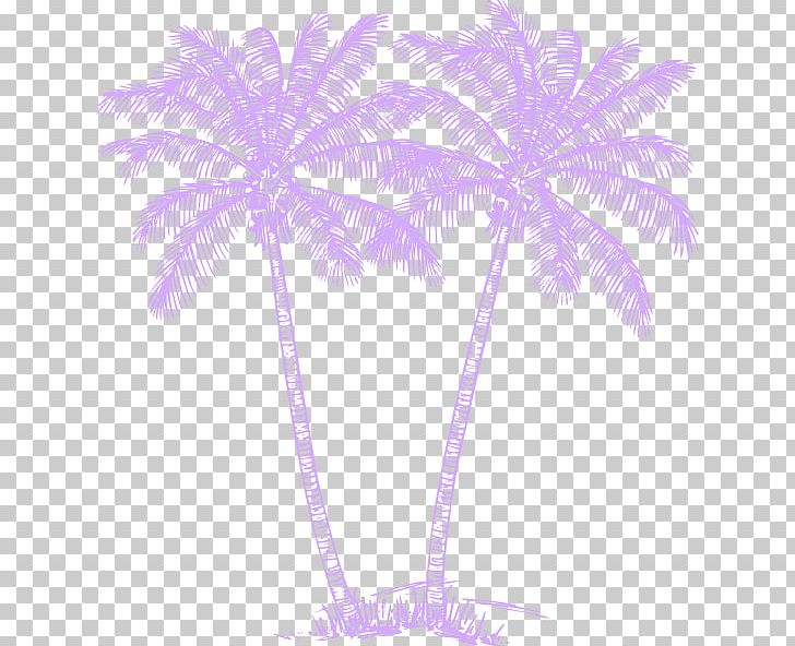 Arecaceae Sabal Palm Art PNG, Clipart, Arecaceae, Arecales, Art, Coconut, Color Free PNG Download