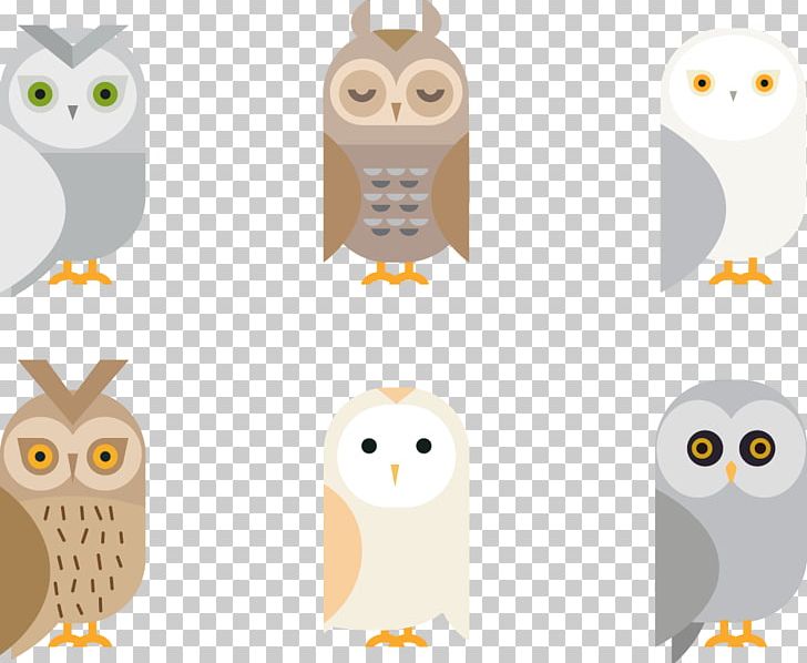 Barn Owl Giant Panda Bird PNG, Clipart, Animal, Animals, Barn Owl, Beak, Bird Free PNG Download