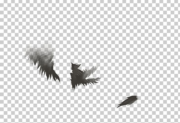 Lion Feather Agility Skill 0 PNG, Clipart, Agility, Animals, Beak, Bird, Bird Of Prey Free PNG Download