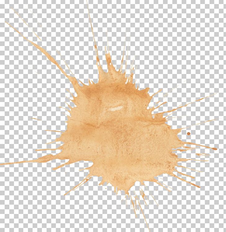 Watercolor Painting Brown Orange PNG, Clipart, Blue, Brown, Color, Fruit Nut, Green Free PNG Download