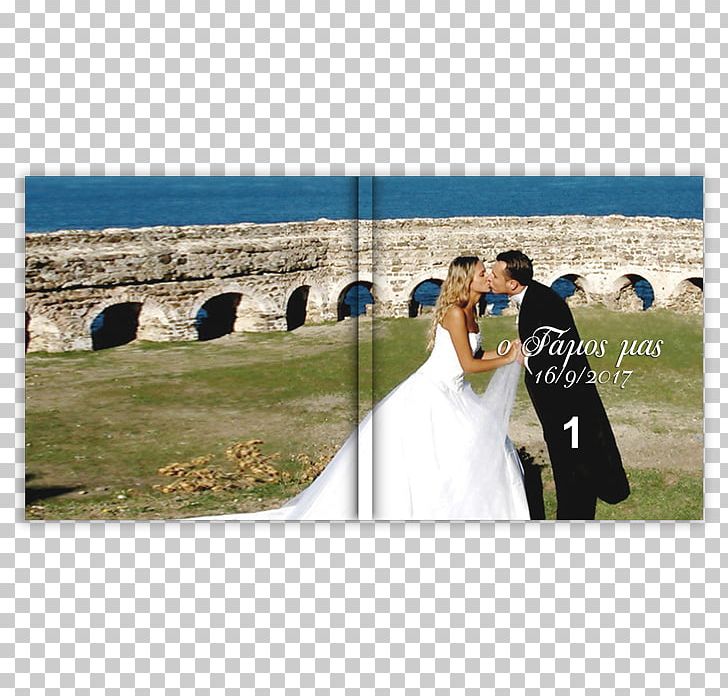 Wedding Photograph Gown Male Love PNG, Clipart, Ceremony, Event, Gown, Grass, Holidays Free PNG Download