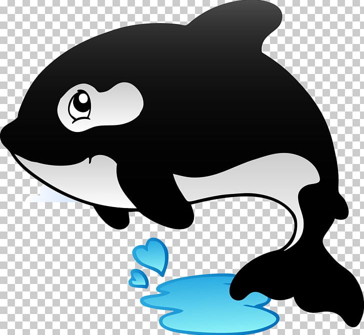 Killer Whale Birthday Cake Balloon PNG, Clipart, Animals, Balloon, Birthday Cake, Black, Black Background Free PNG Download